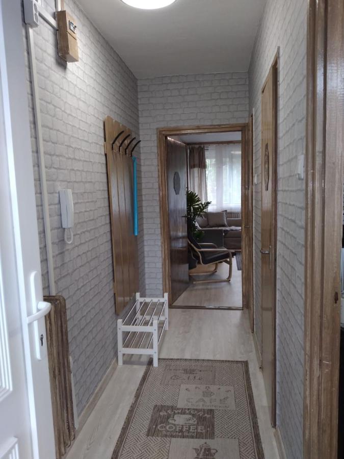 Downtown Apartment Mestecǎneşti Exterior foto