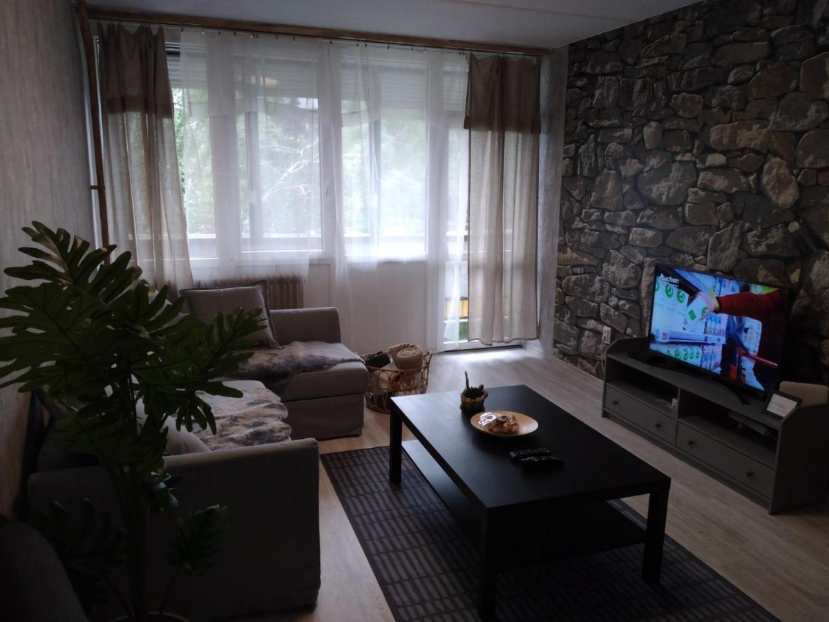 Downtown Apartment Mestecǎneşti Exterior foto