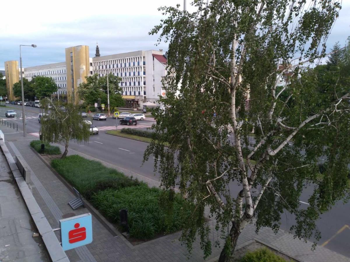 Downtown Apartment Mestecǎneşti Exterior foto